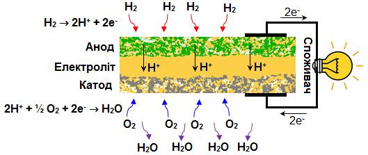 Schematic representation of the working principle of a solid oxide fuel cell with proton conductivity