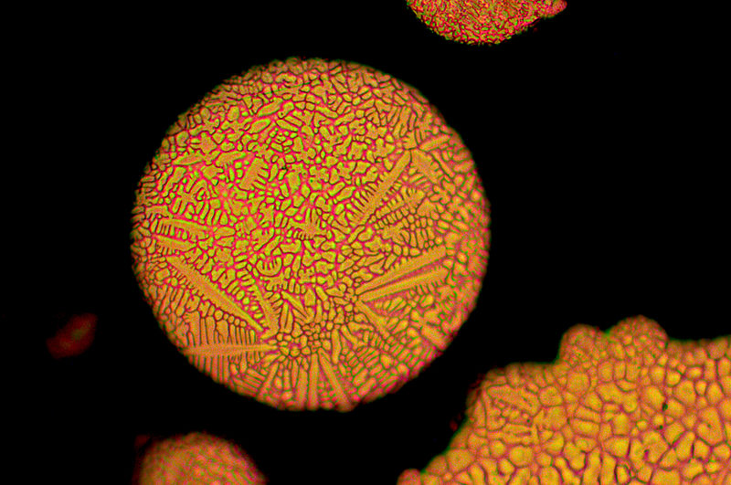 Microstructure of a steel powder particle. Photo by Gael Guetard